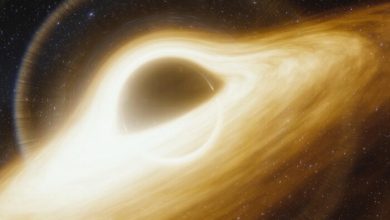 expanding universe provokes the growth of supermassive black holes 1