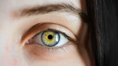 nutritionist named foods that are good for vision