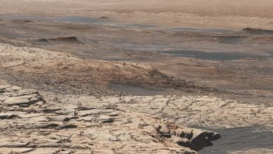 rover discovered an unusual mixture of chemical elements on Mars