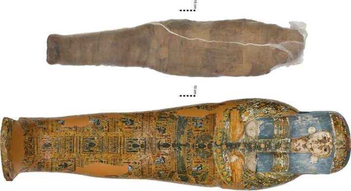 story of the discovery of an ancient Egyptian mummy in a clay shell 2