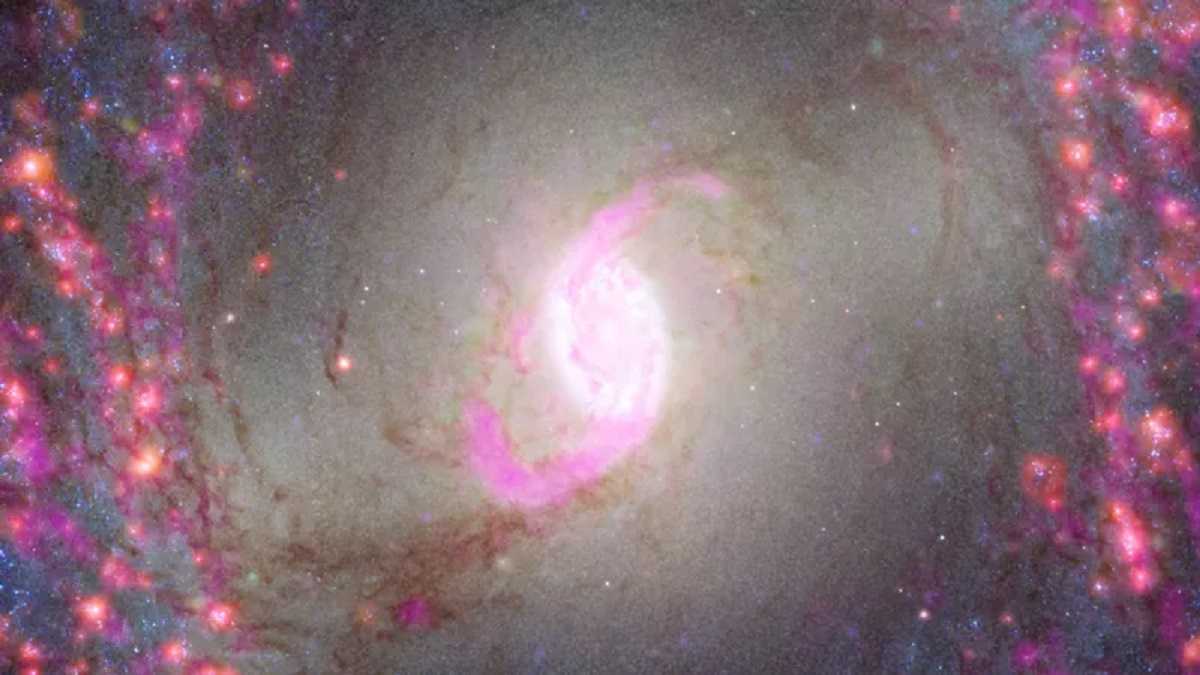 19 Neighboring Galaxies James Webb Space Telescope Receives First Task