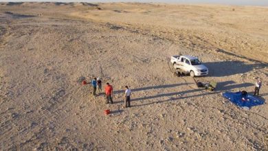 A 3 600 year old settlement was accidentally discovered in the desert of Qatar