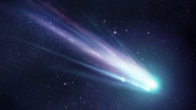 All about comets facts riddles and speculation 1