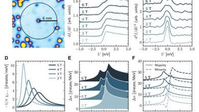 Atomically crafted quantum magnets and their anomalous excitations 1