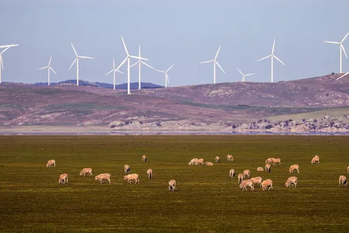Australia sets new green energy production records