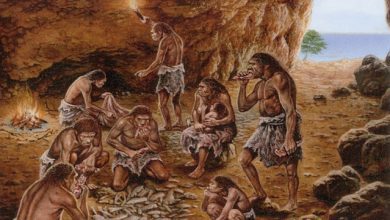 Early Humans Placed The Hearth At The Optimal Location In Their Cave For Maximum Benefit And Minimum Smoke Exposure 1