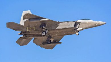 F 22 received stealth hanging containers 1