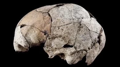 Gruesome Skull Discovery Contains The Earliest Evidence of Ear Surgery 1