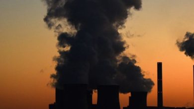 In April the proportion of carbon dioxide in the atmosphere reached a record level in millions of years