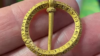 In Britain an archaeologist found a brooch that is over 800 years old