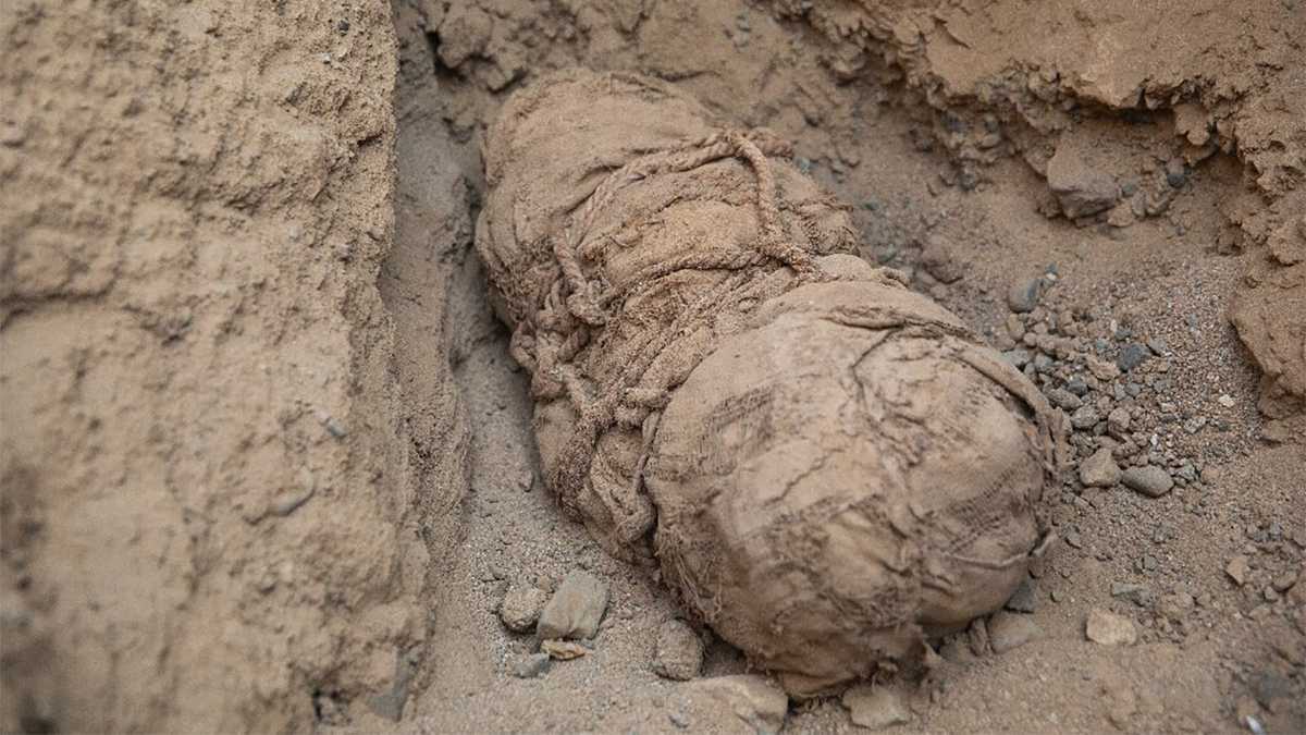 In Peru found the mummies of children who were sacrificed