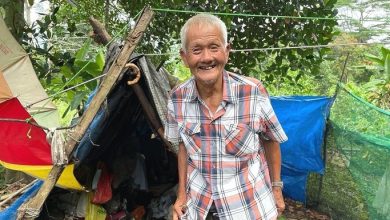 In Singapore found an elderly man who lived 30 years in the forest