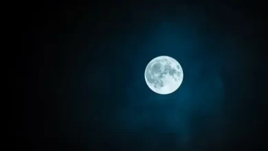 Lunar calendar 2022 when is the next full moon 1