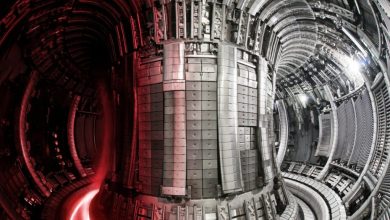 Machine learning algorithm gives tips on managing nuclear fusion 1