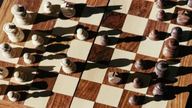 Mathematician cracks 150 year old chess problem