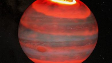 NASA detects high energy X rays from Jupiter 1