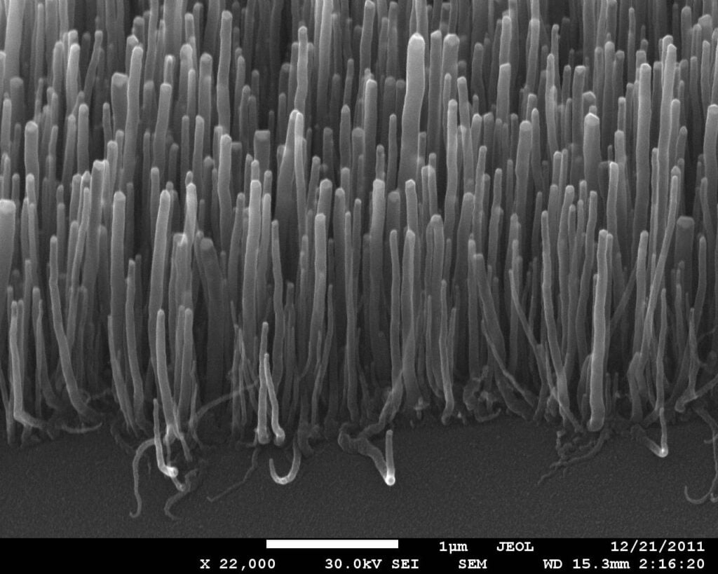New prospects for the use of nanotube films in electronics have been discovered 1