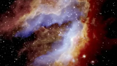 Omega a snapshot of the brightest nebula