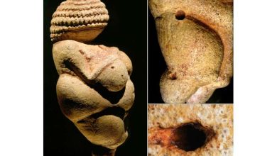 Origin of the 30 000 year old Venus of Willendorf discovered 1