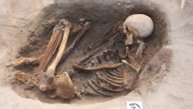 Orkneys of the Bronze Age were able to resist the expansion of the Indo Europeans 1