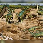 Paleontologists find disappearing dinosaur footprints in Canada