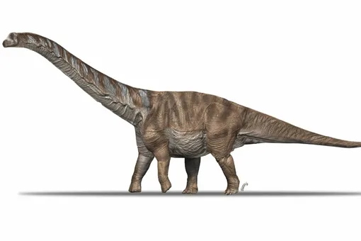 Paleontologists have described an abnormally giant dinosaur that roamed Spain 70 million years ago 1