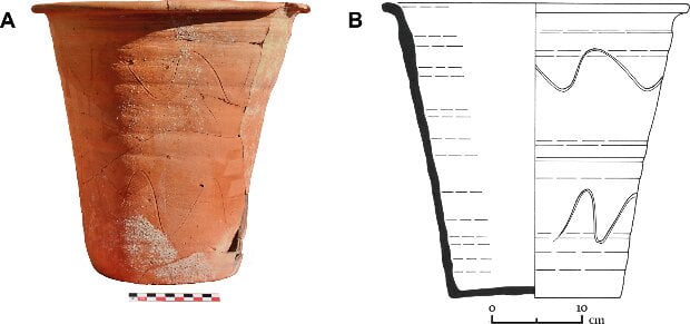 Paleoparasitologists find eggs of intestinal parasites in ancient Roman chamber pot 4