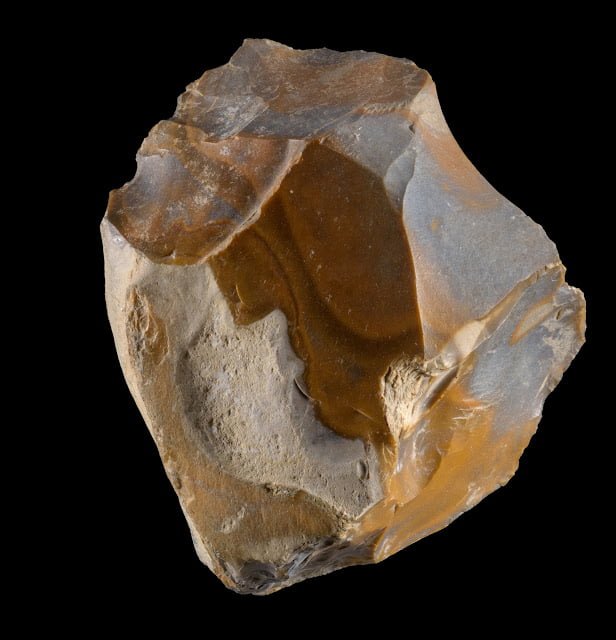 Prehistoric Human Vertebra Discovered In The Jordan Valley Tells The Story Of Prehistoric Migration From Africa 3