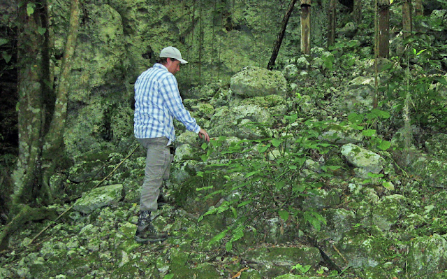 Researchers Discover Locations Of Ancient Maya Sacred Groves Of Cacao Trees 1