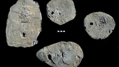 Sardinians exported lead to Cyprus as early as the 2nd millennium BC 1