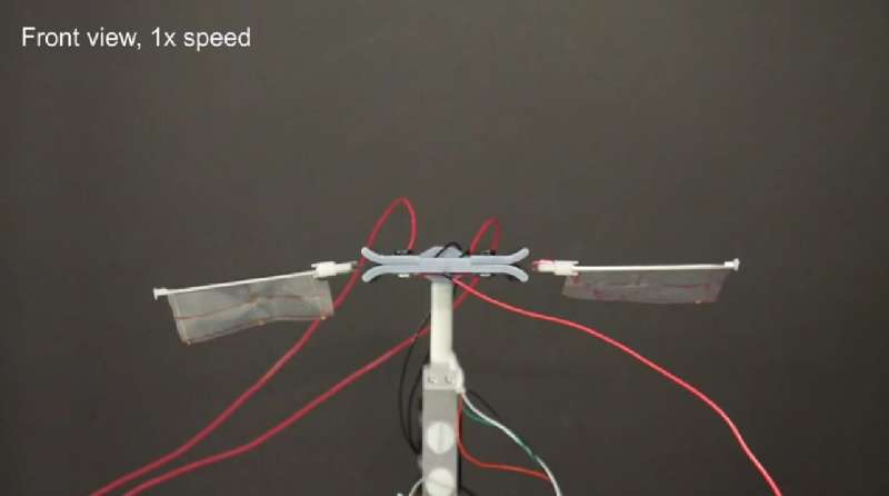 Scientists develop insect sized flying robots with flapping wings