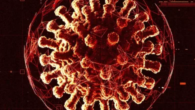 Scientists warn that terrorists could release a terrifying virus