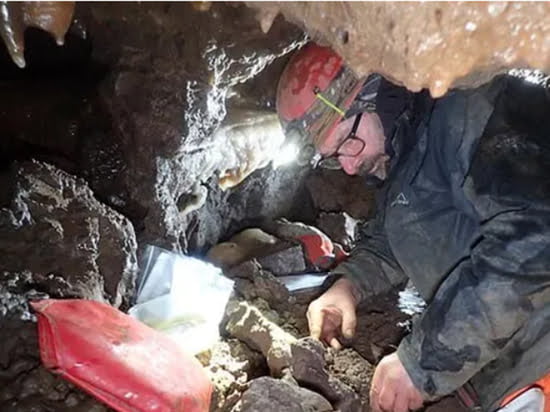Scientists were delighted with the remains of a mammoth accidentally found in a cave