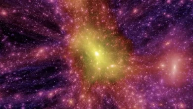 See the most accurate virtual simulation of our universe to date