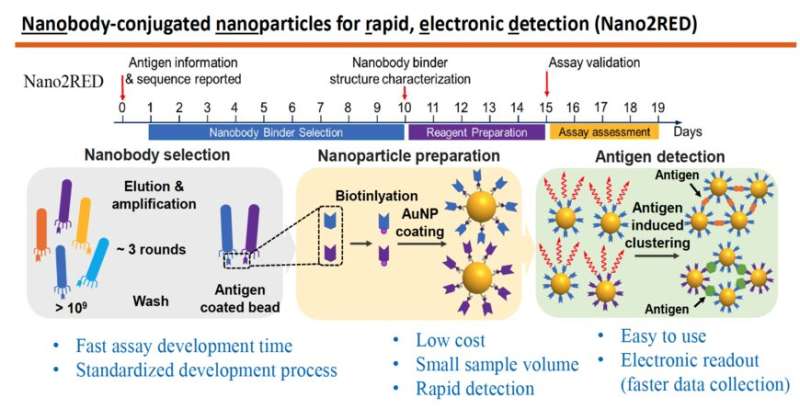 Simple inexpensive fast and accurate nanosensors pinpoint infectious diseases