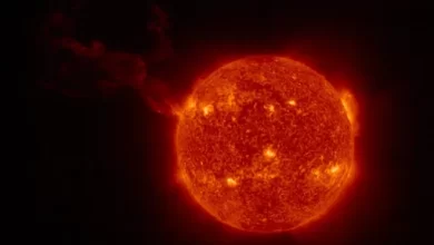 Solar Orbiter captured a giant eruption on the Sun