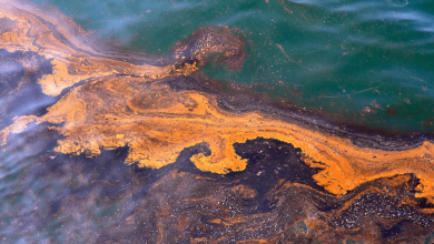 Sunlight dissolves oil spilled into the sea