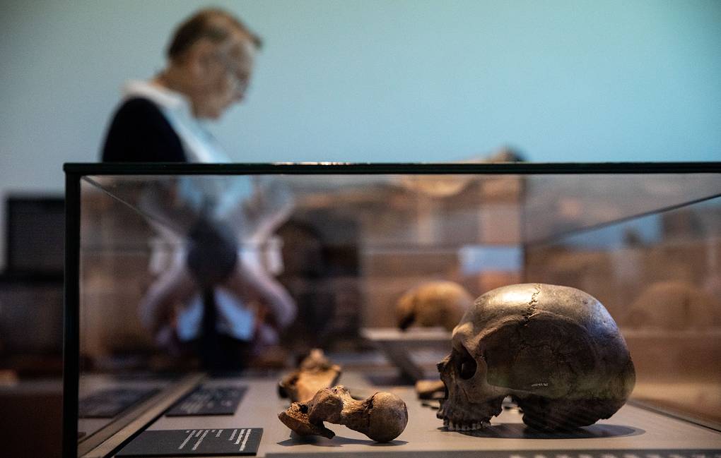 Traces of at least two exoduses of ancient people from Africa found in Israel 1
