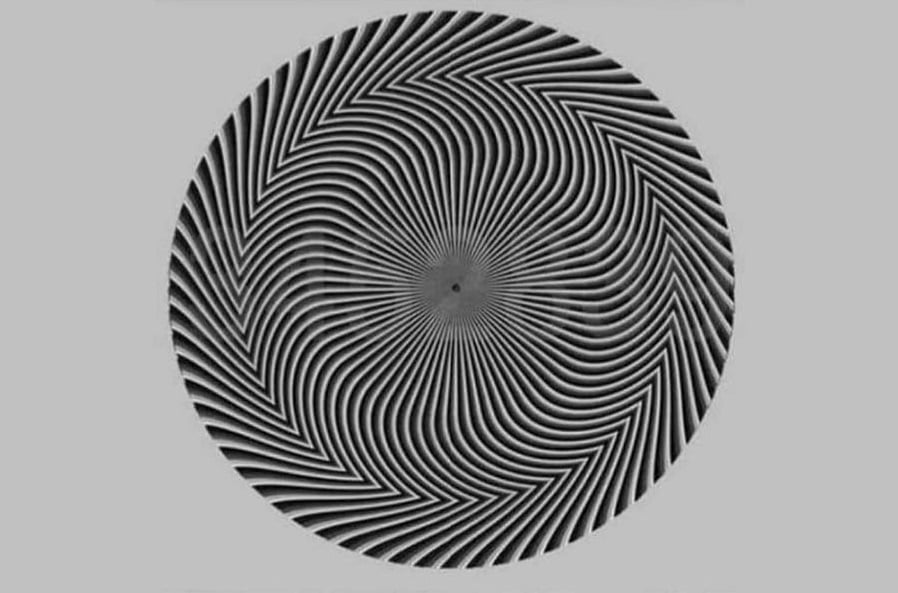 Unusual optical illusion caused heated debate on the web