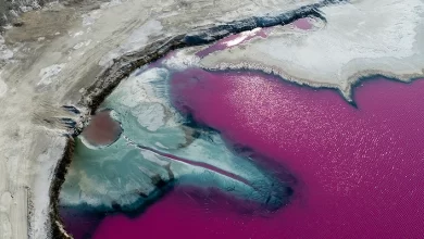 Upside down houses CES and pink lakes The best images in science for January 1