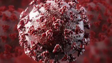 WHO warns of a new strain of coronavirus