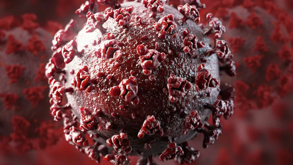 WHO warns of a new strain of coronavirus