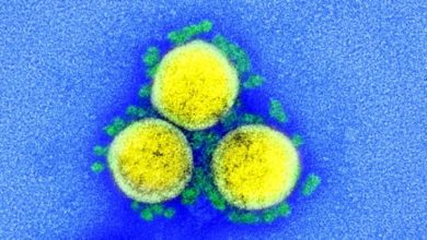 World First Experiment That Infected People With Coronavirus Shares Early Results