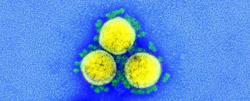 World First Experiment That Infected People With Coronavirus Shares Early Results