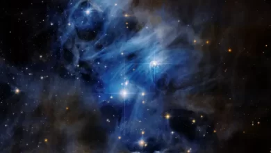 Young stars illuminate Chamaeleon stellar nursery in new Hubble image