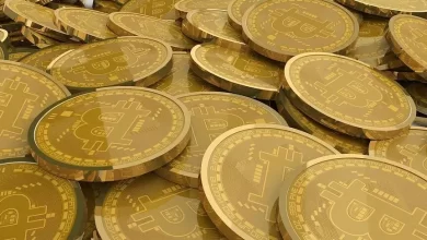 expert said that bitcoin will fall until 2025