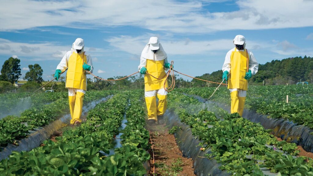 number of people exposed to the harmful effects of pesticides has increased