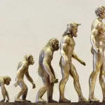 story of how Darwin created an evolutionary theory that was confirmed after 100 years 1