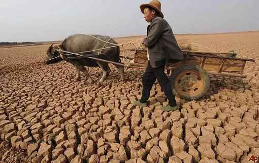 10 most devastating droughts in history 10