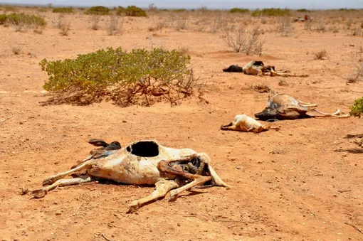 10 most devastating droughts in history 3